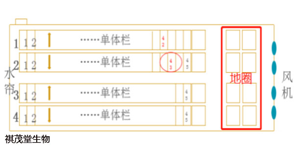 横竖成形非一五，三二合七特马出  打一精准生肖，定量解答解释落实_0v90.33.47