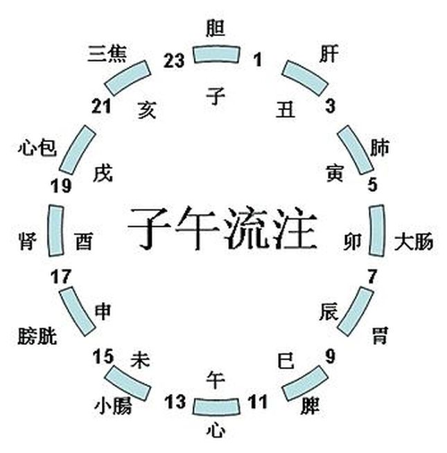 表里不一双偷牛，一路顺水又回转，欺世盗名分水岭，子午前列一一数。猜一肖，统计解答解释落实_au73.31.84